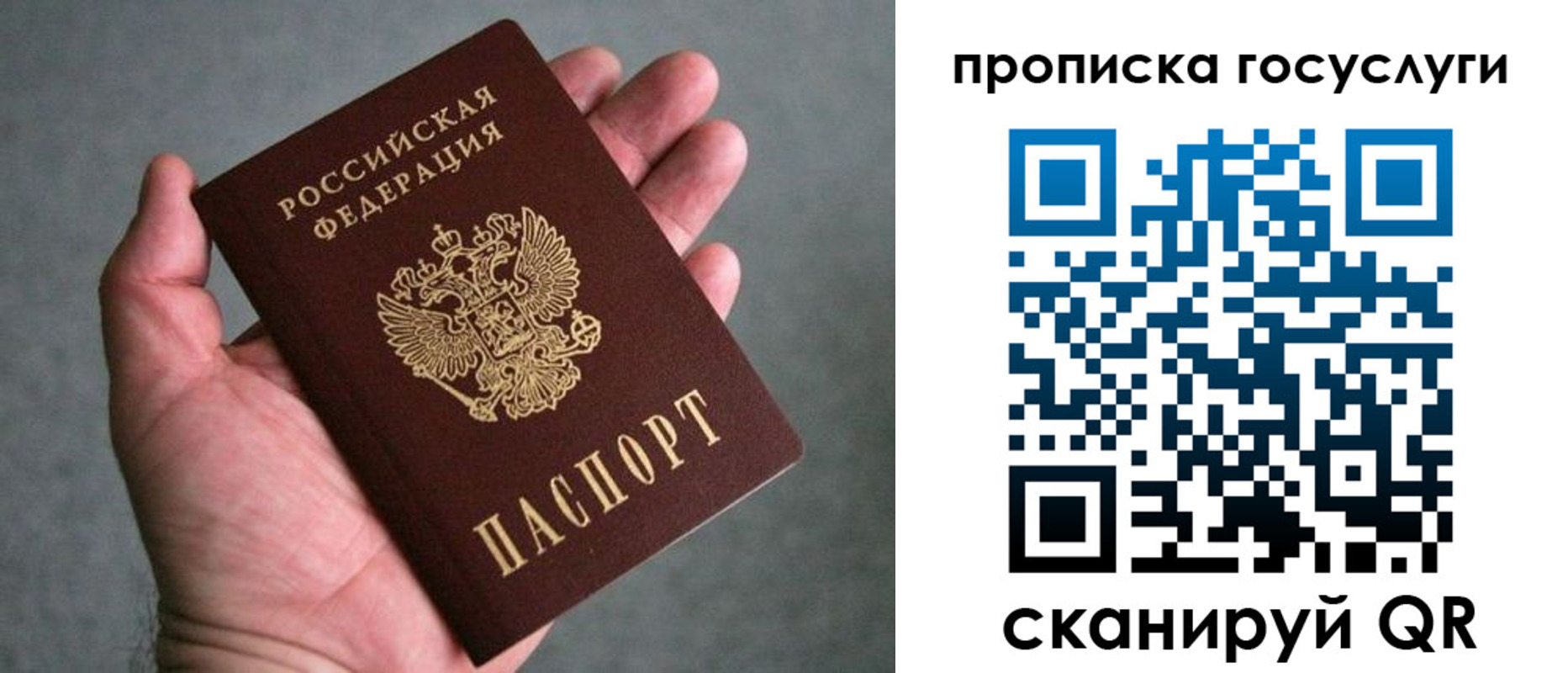 прописка 2025 в Пушкино